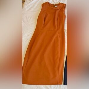Sleek Burnt Orange Sheath Dress